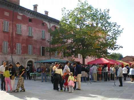 mercatino in Piazza Pio VII