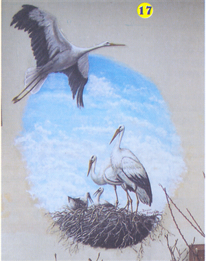 I murales naturalistici di Crava